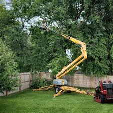 Best Hazardous Tree Removal  in Rk Forest Village, PA